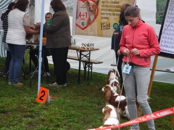 KV 2020-I, 11.7.2020, Městec Králové